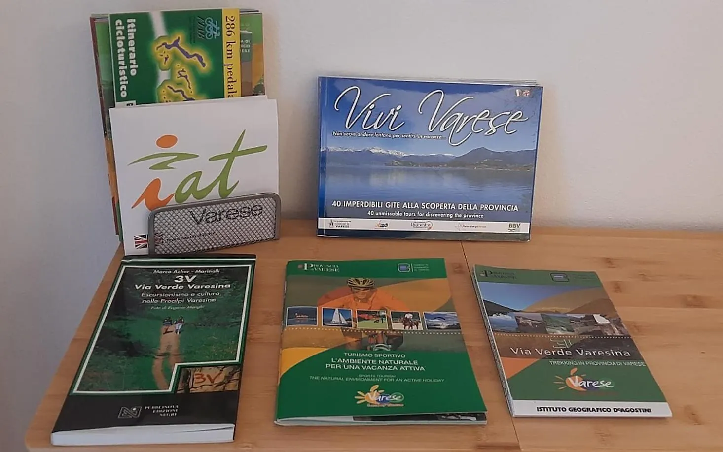 Holiday home Al Vicoletto Varese Gazzada Italy